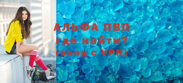 PSILOCYBIN Вяземский