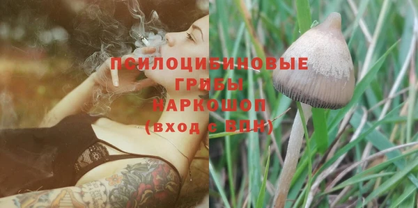 PSILOCYBIN Вяземский