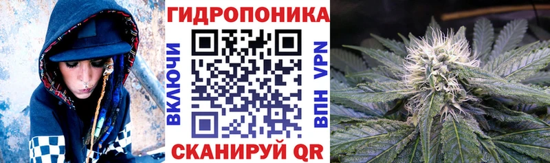 мега tor  Ивантеевка  Бошки марихуана индика 
